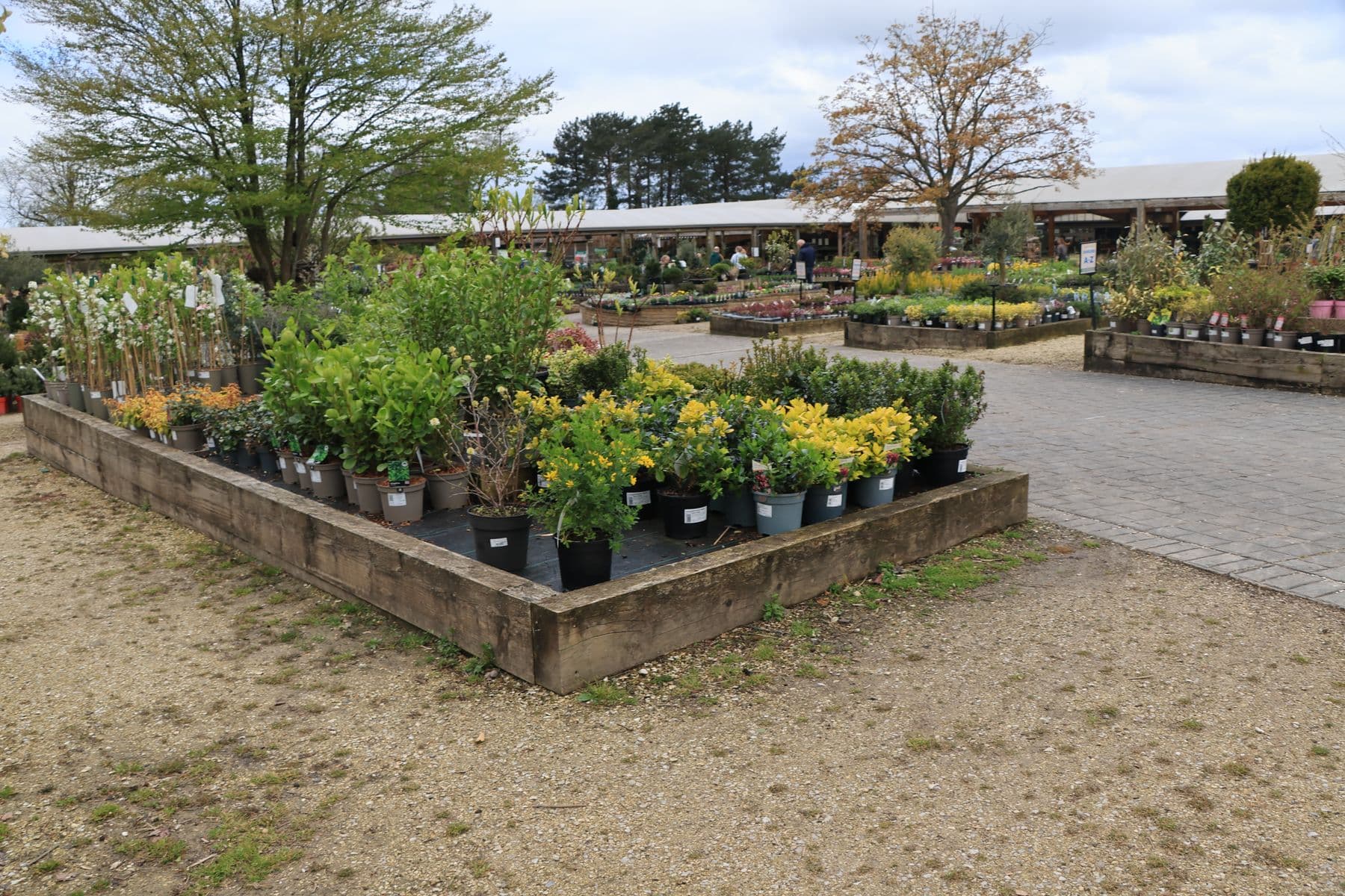 Vivero real con plantas ornamentales en exhibición
